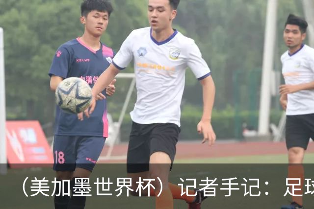 （美加墨世界杯）记者手记：足球世界，规则谁定？